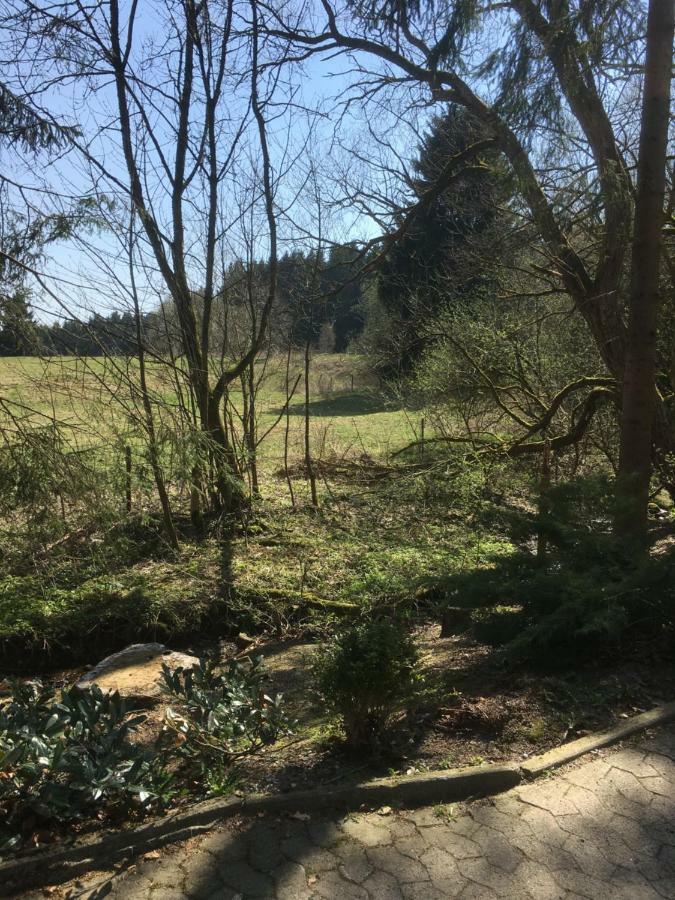 Ferienwohnung Wandervogel Braunlage Exterior foto